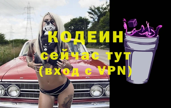 таблы Снежногорск