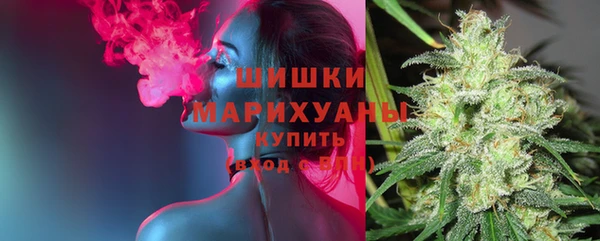 таблы Снежногорск
