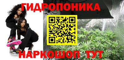 сатива Моздок