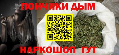 сатива Моздок