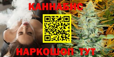 сатива Моздок