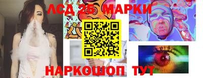 индика Аша