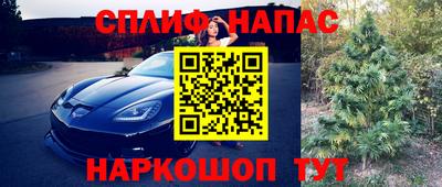 мдпв Можайск