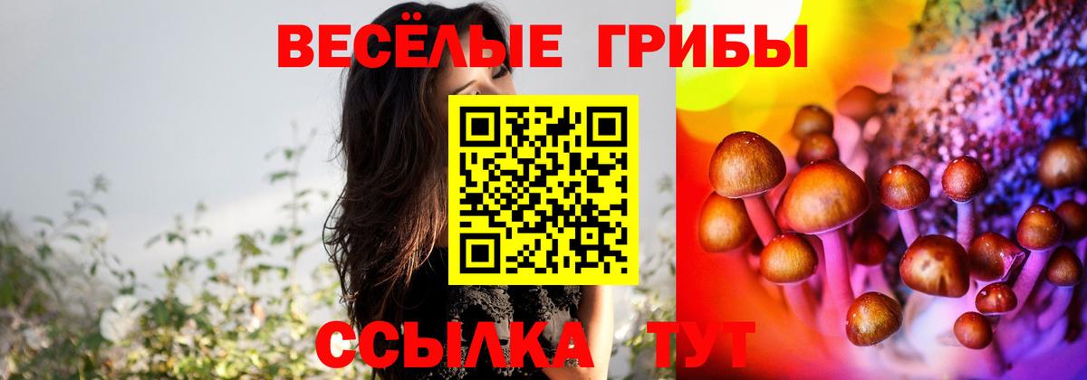 Владимир  Псилоцибиновые грибы прущие грибы  Вход с VPN 