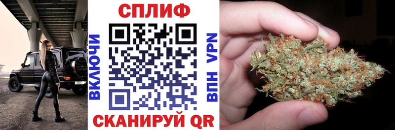 как найти наркотики  Владимир  Канабис MAZAR 